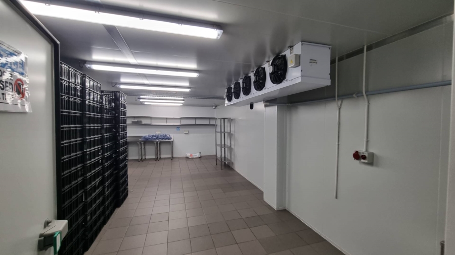 To Let Commercial Property for Rent in Salt River Western Cape